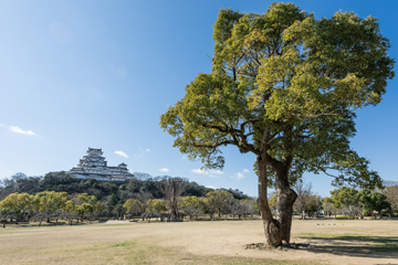 シロトピア記念公園